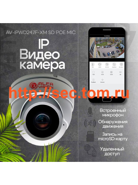 IP видеокамера AV-IPWD248F-XM SD POE MIC RCA